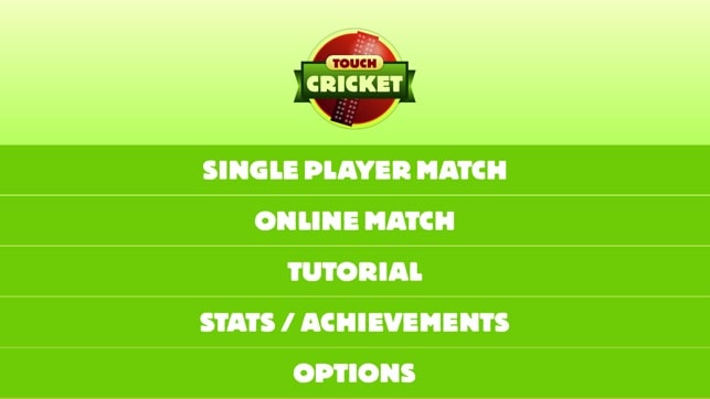 Touch cricket