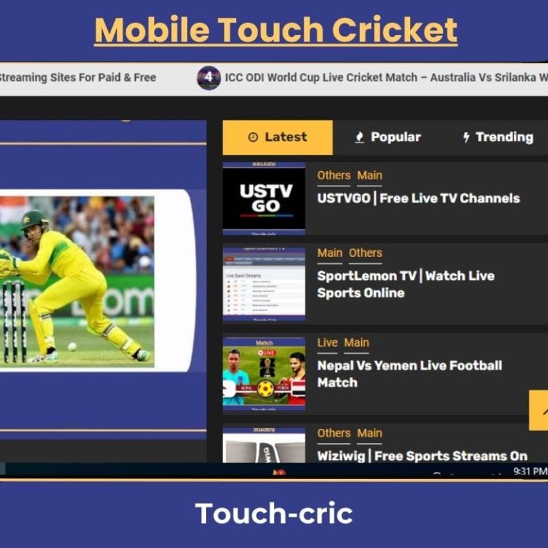 Mobile Touch Cricket