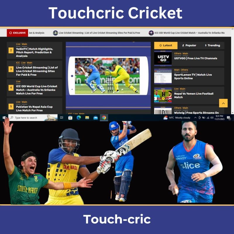 Touchcric Cricket